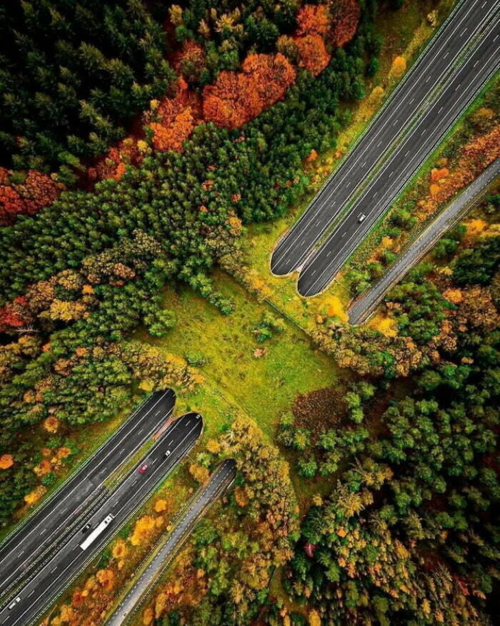 Stunning Bridges & Roads ecoduct in the Netherlands ecoduct in the Netherlands