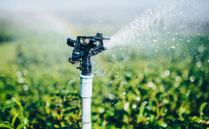 Ways to Get Rid of Raccoons,  motion-activated sprinkler