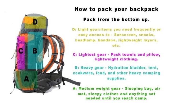 Travel Infographics, Backpack