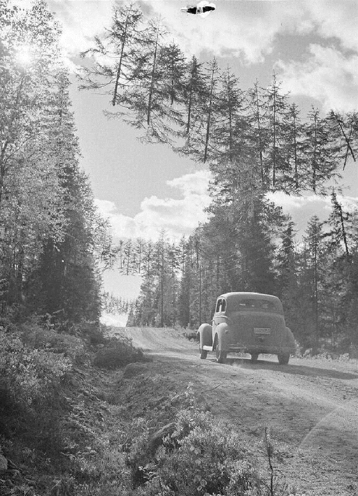 Confusing Perspective Images, camouflaged road