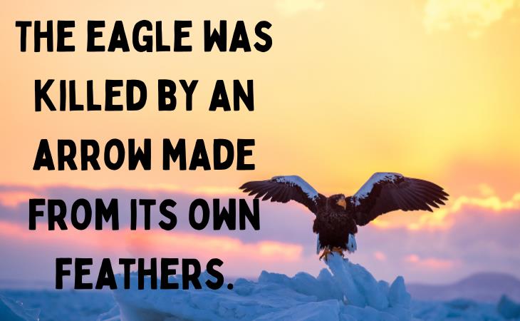 Armenian Proverbs, eagle