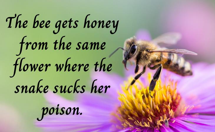 Armenian Proverbs, bee