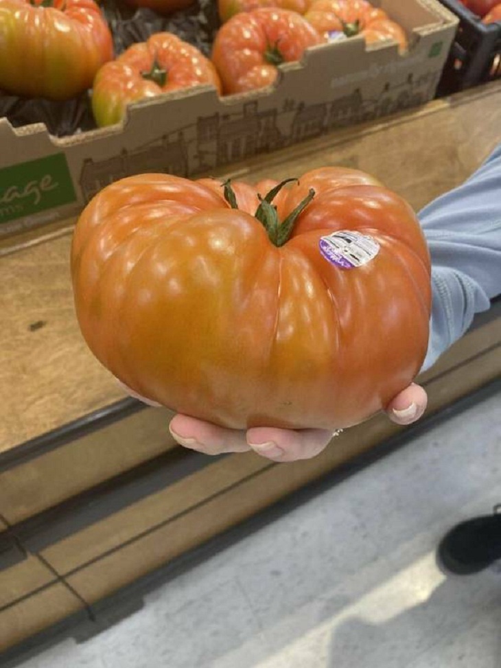 BIG Things, tomato