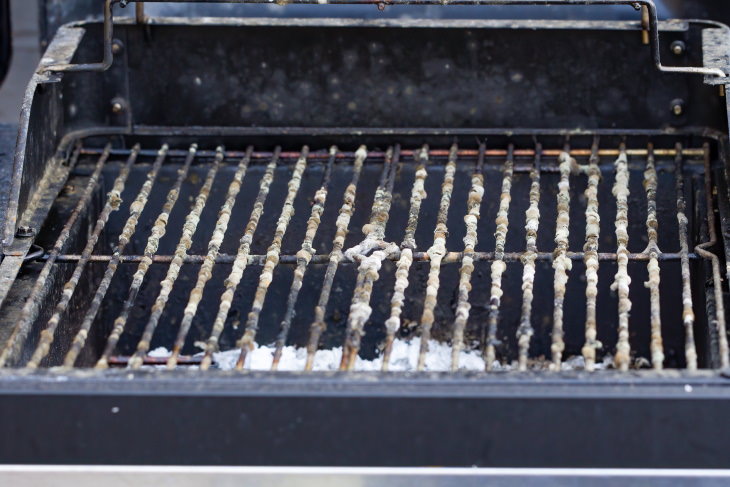 Grill Cleaning and Maintenance dirty moldy grill