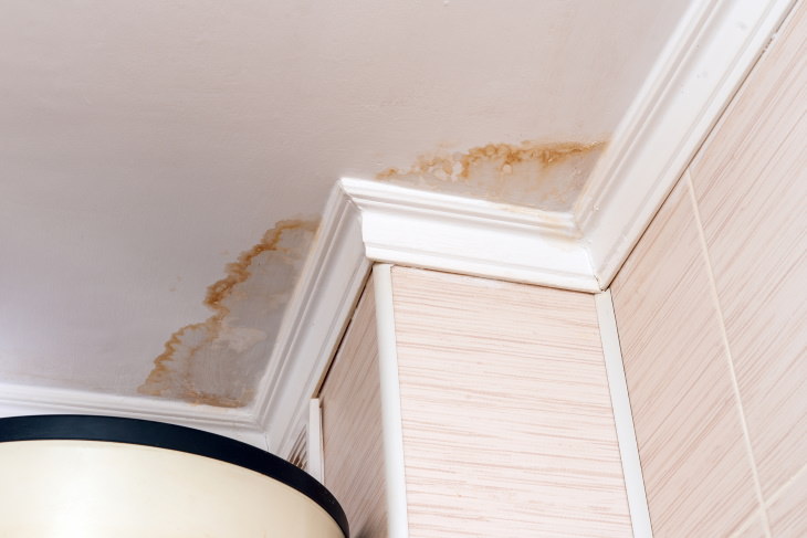 water stain removal- stain on ceiling