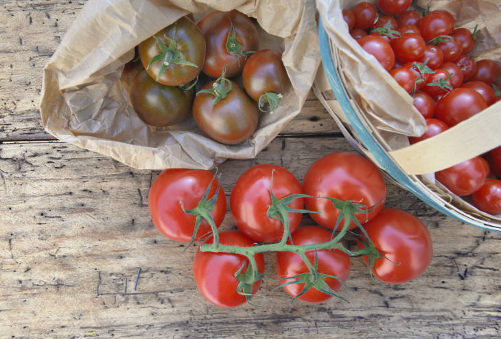 How to Ripen Green Tomatoes tomatoes wrapped in paper