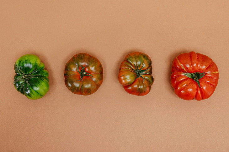 How to Ripen Green Tomatoes from green to red tomato