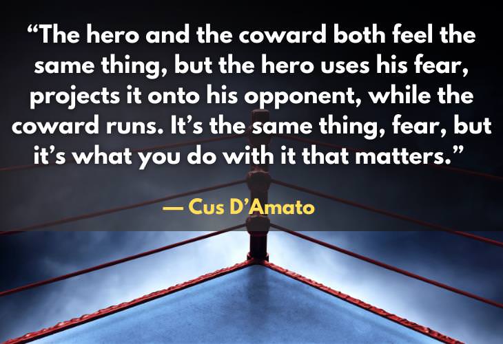 Boxing Quotes, hero