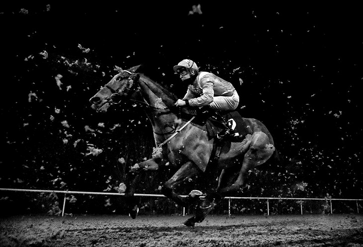 World Sports Photography Awards 2022, Equestrian