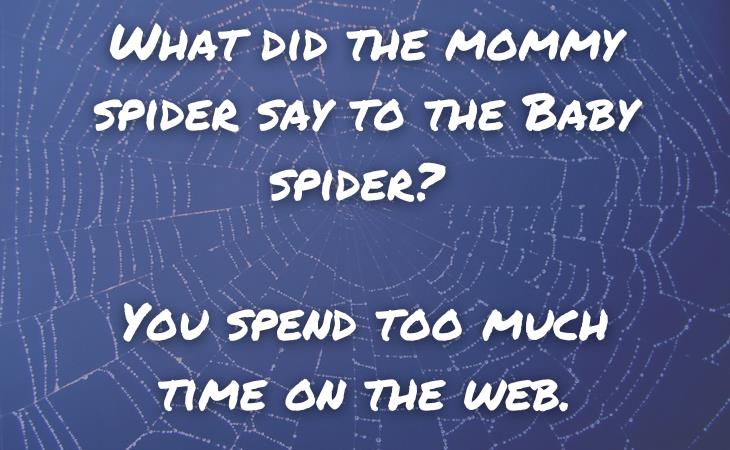 Mom Jokes, spider