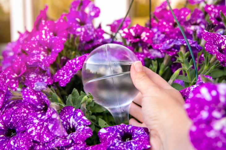 How to Water Houseplants While You’re Away watering globe