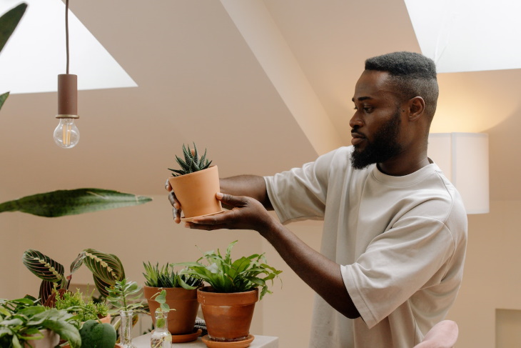 How to Water Houseplants While You’re Away guy examining a plant
