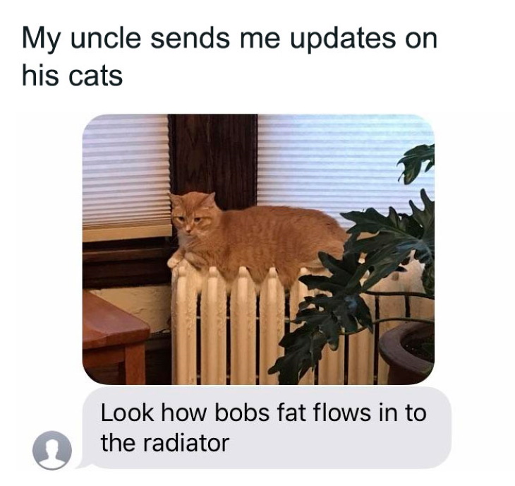 Kitty Logic uncle message