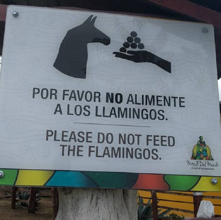 Translation Fails, sign