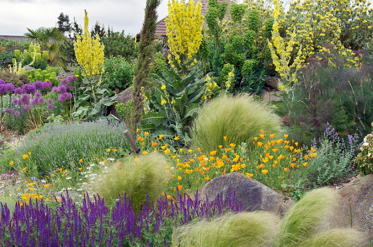 Water Saving Garden colorful arrangement