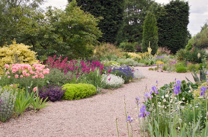 Water Saving Garden path lined with beautiful plants