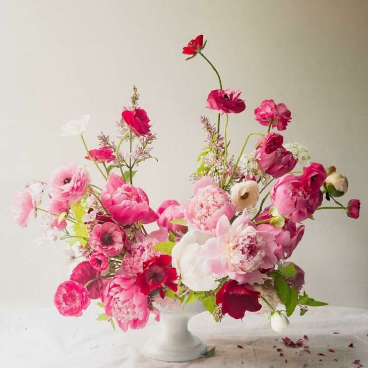 Fotos de jardinagem, vaso com flores