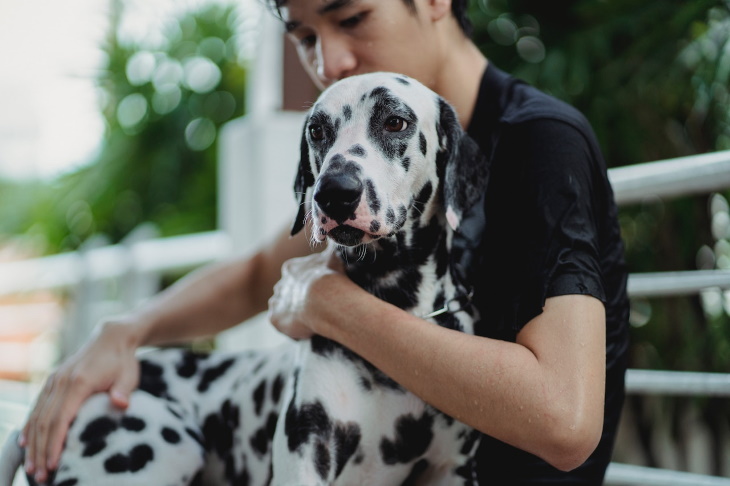 Pet Odors Linked to Medical Issues man and dalmatian