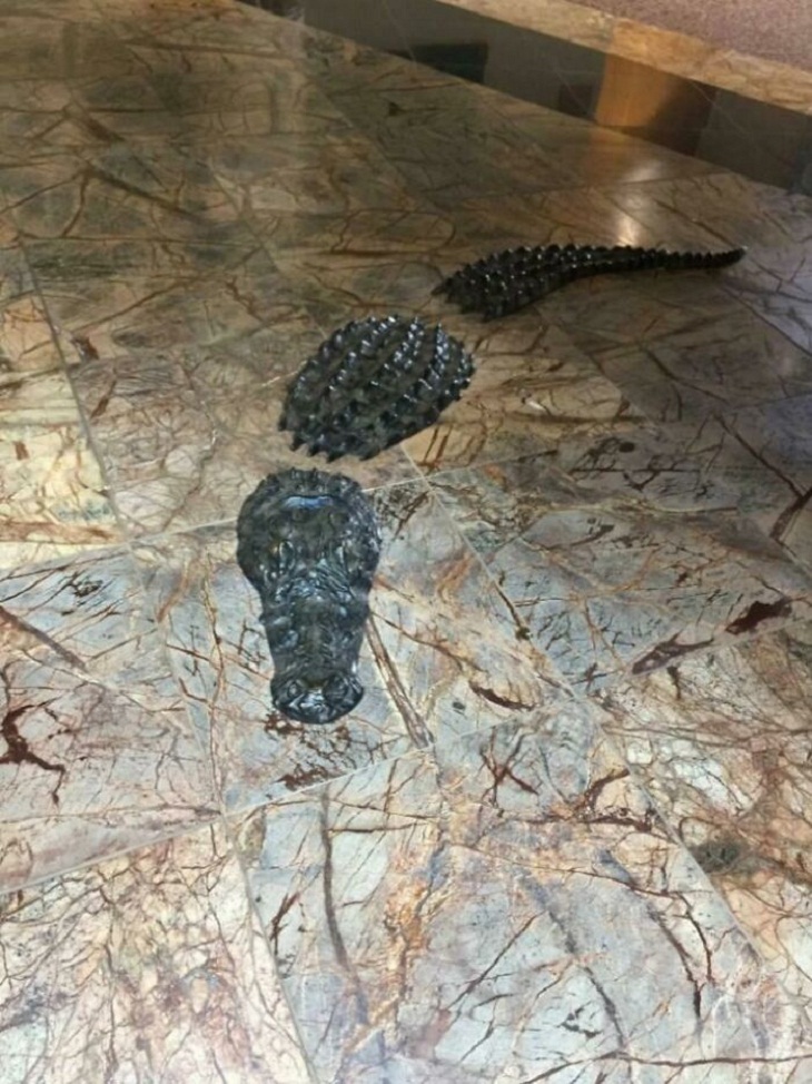 Architecture Fails, croc floor