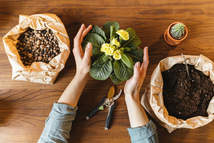 Potting Soil 101 sacks of potting soil and plants