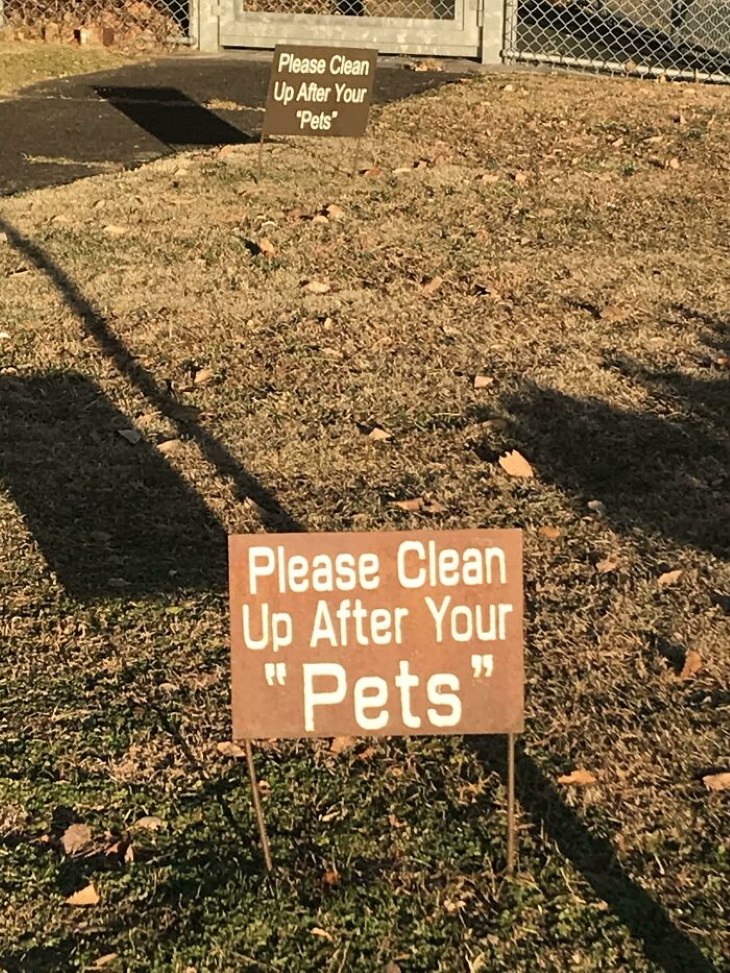 Quotation Mark Errors clean up after "pets"