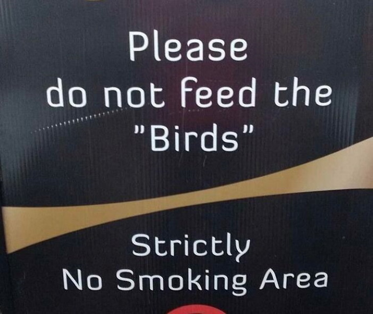 Quotation Mark Errors do not feed the birds