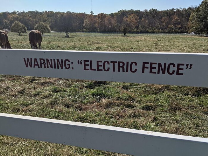 Quotation Mark Errors electric fence