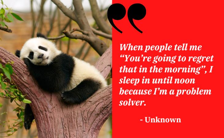 Funny Sleep Quotes, sleeping panda