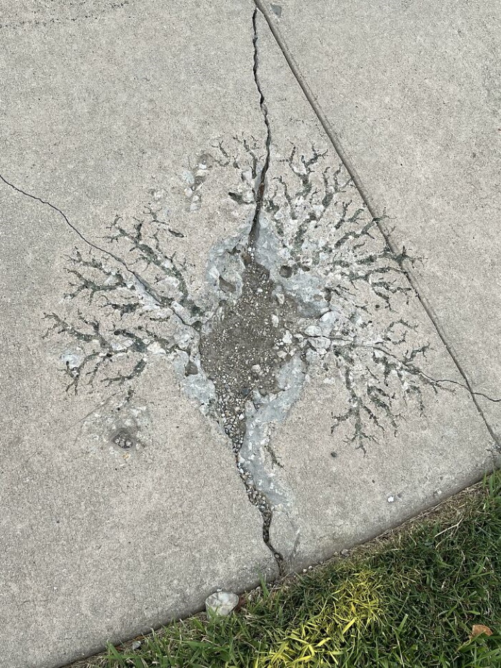 Creepy Nature lightning strike on the sidewalk