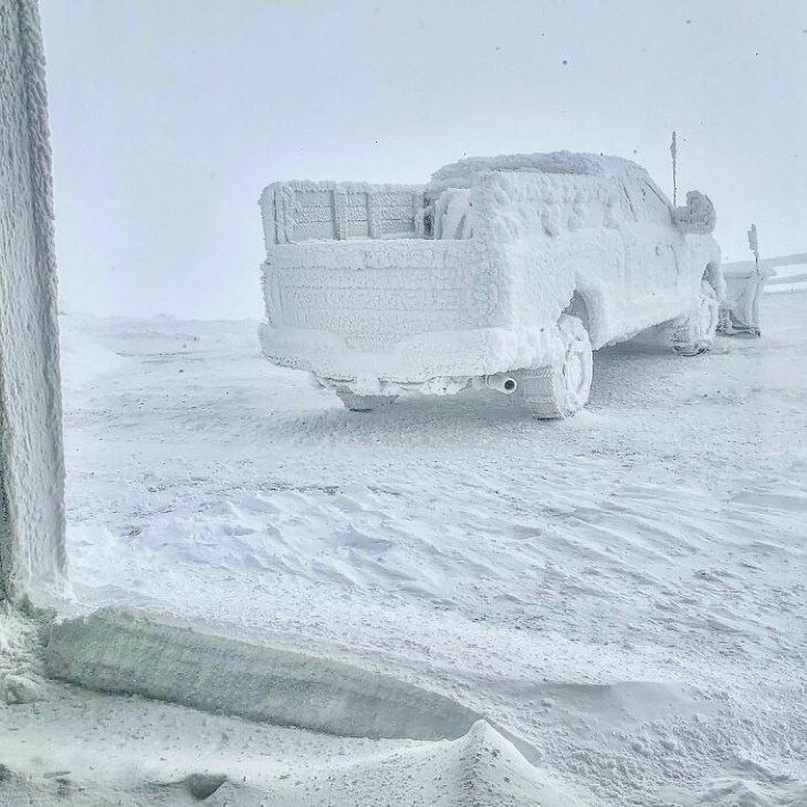 Creepy Nature frozen car