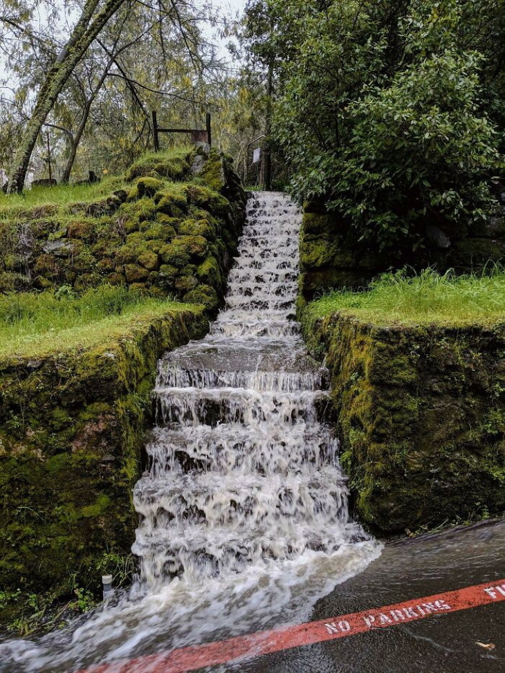 Creepy Nature Stairs