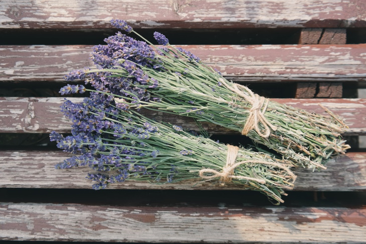 Natural Tips For a Pleasant Smelling Home lavender