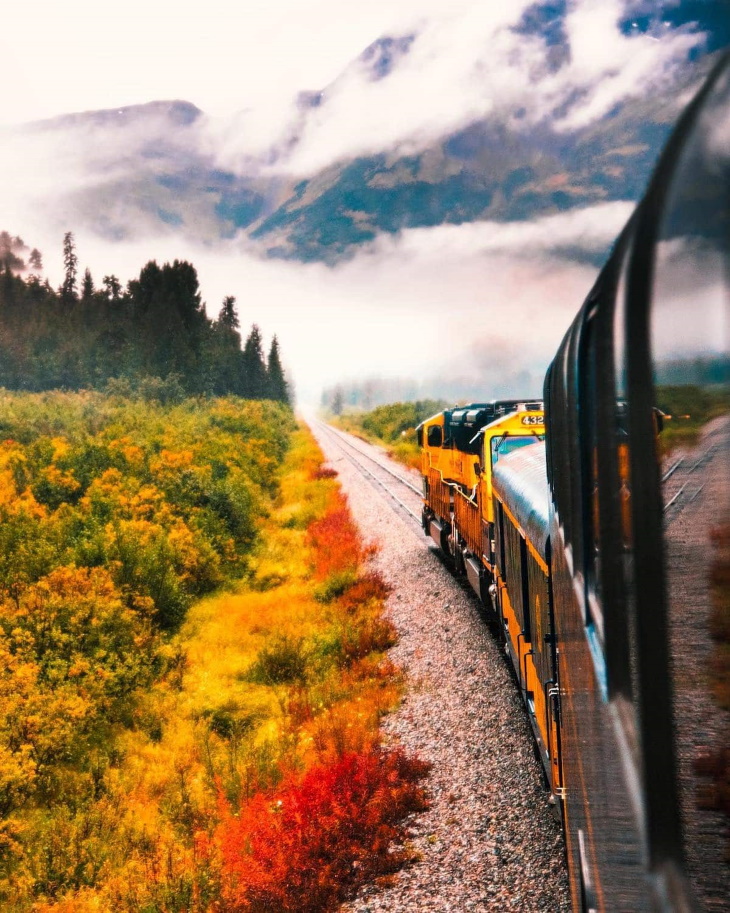 Alaska by Ian Merculieff train in forest