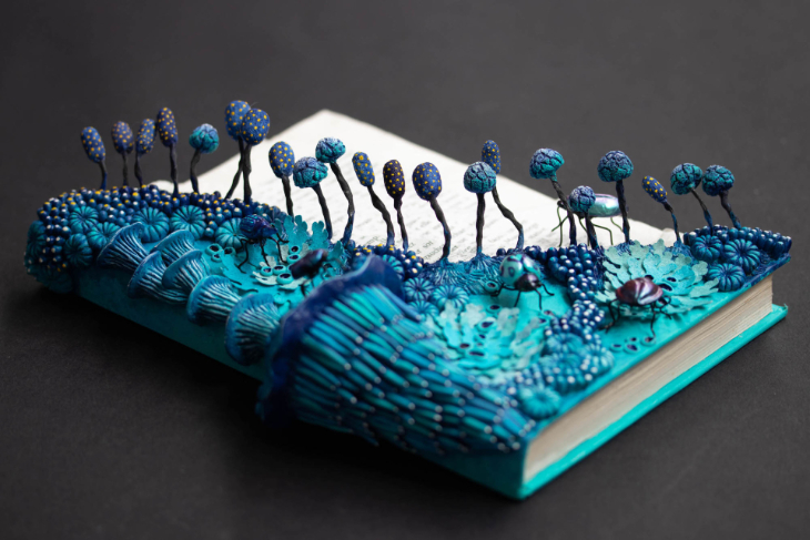 El Arte De Stéphanie Kilgast, Un hongo azul carcome la encuadernación de un libro