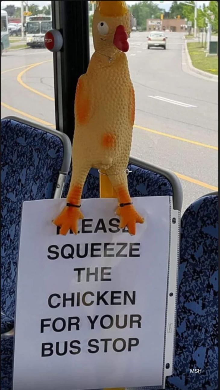 Funny Signs rubber chicken instead of bus bell