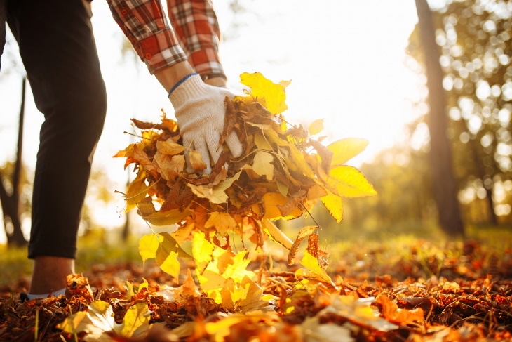 Repurposing Fall Leaves picking up leaves