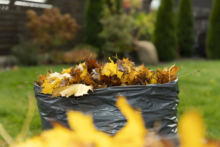 Repurposing Fall Leaves a bag of leaves