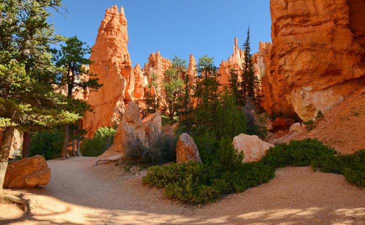 Bryce Canyon - hoodoos in the trail