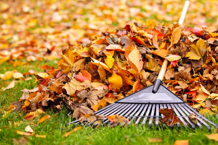 Repurposing Fall Leaves raking in leaves