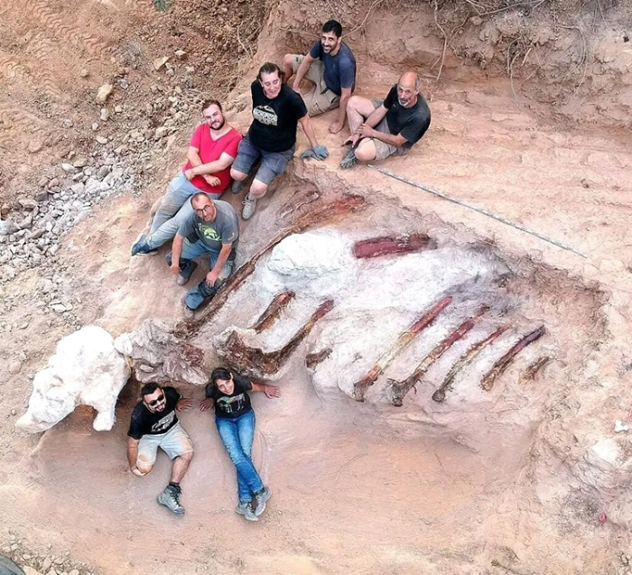 Backyard Excavations - The excavation team with the ribcage fossils