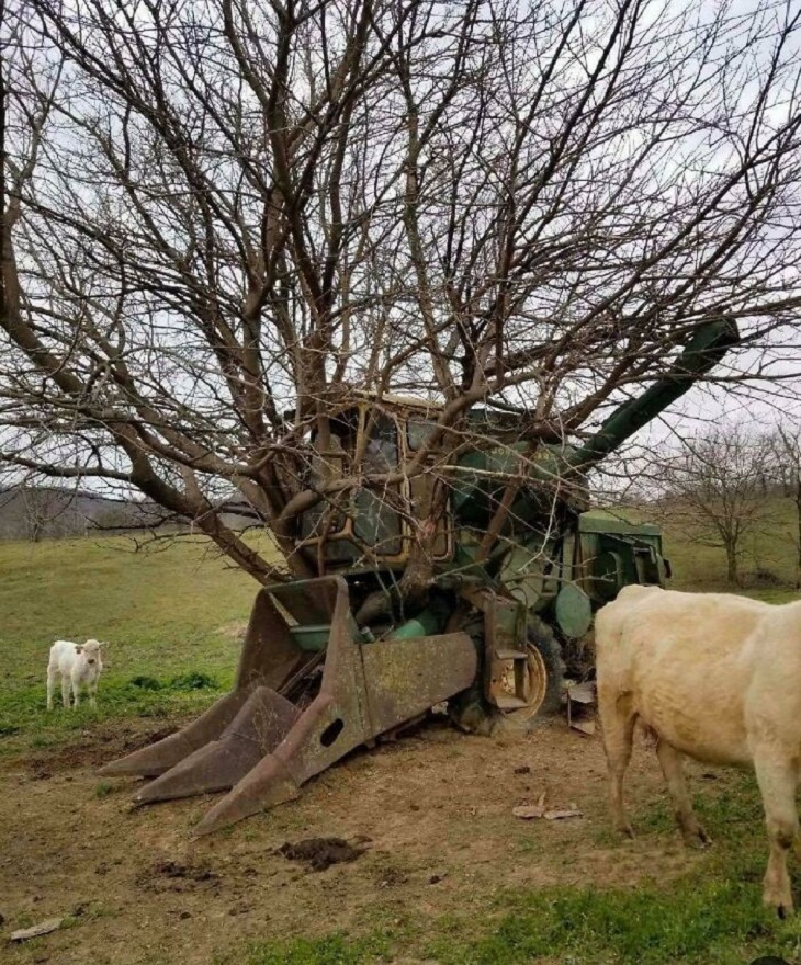 Trees DEVOURING Random Things, tractor