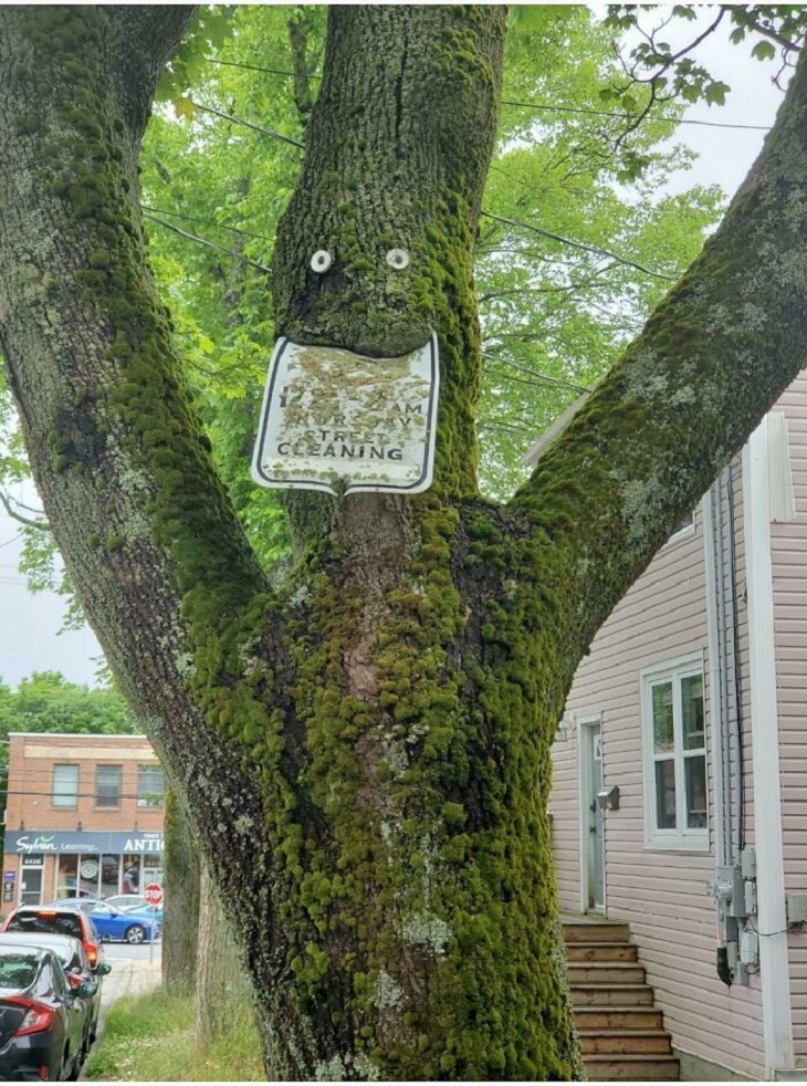 Trees DEVOURING Random Things, sign