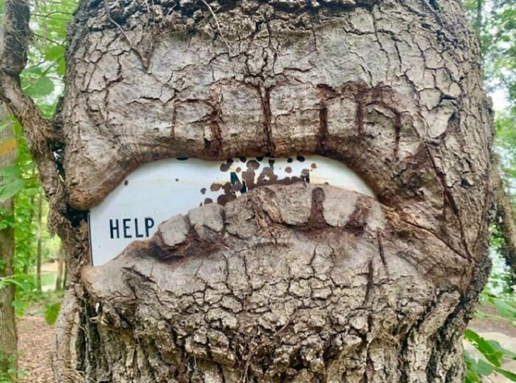 Trees DEVOURING Random Things, sign
