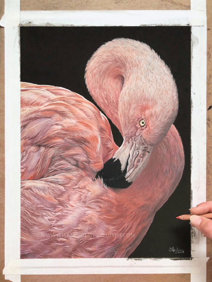 Hyperrealistic Animal Artworks, flamingo