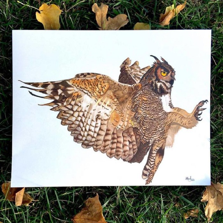 Hyperrealistic Animal Artworks, owl