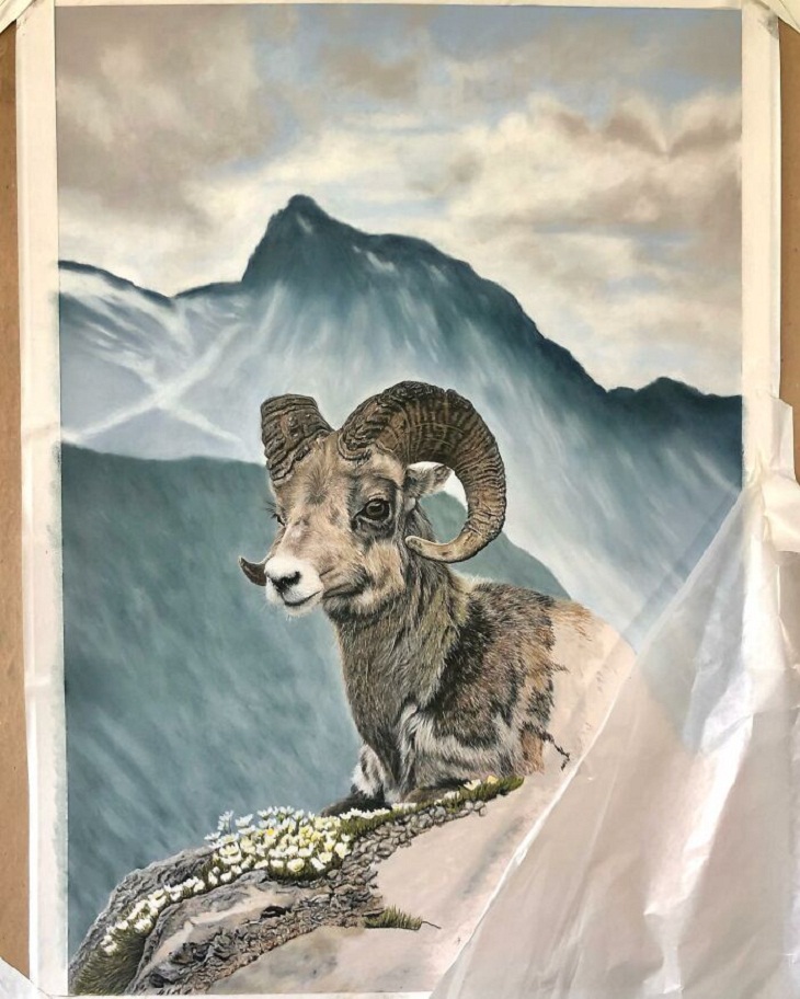 Hyperrealistic Animal Artworks, mountain goat