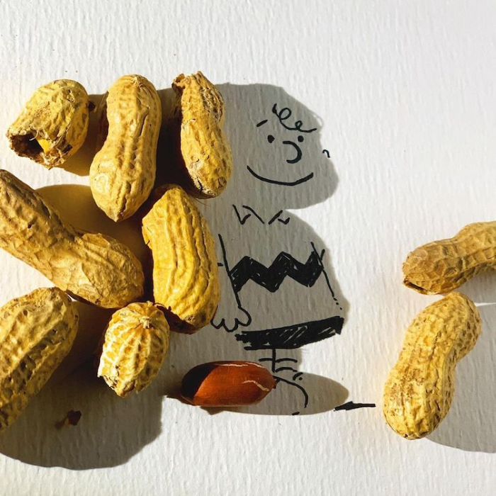 Vincent Bal - charlie brown peanuts