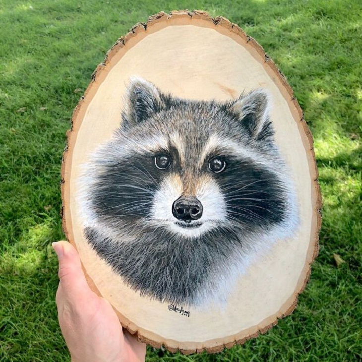 Hyperrealistic Animal Artworks, raccoon 