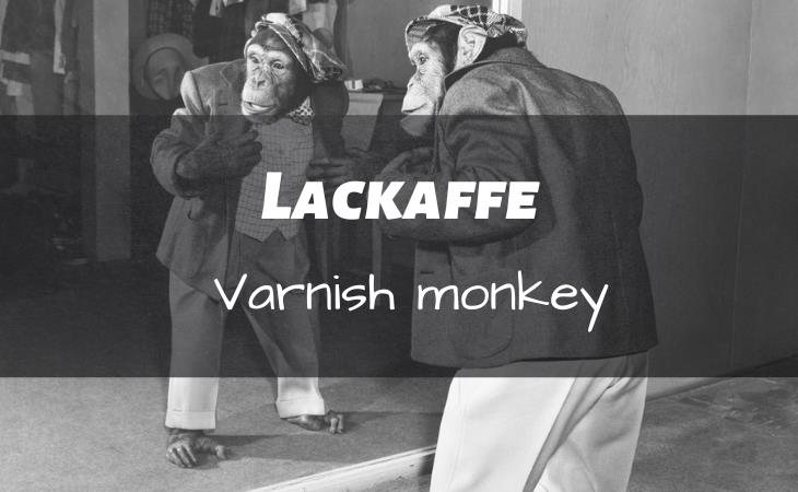 German Insults, monkey