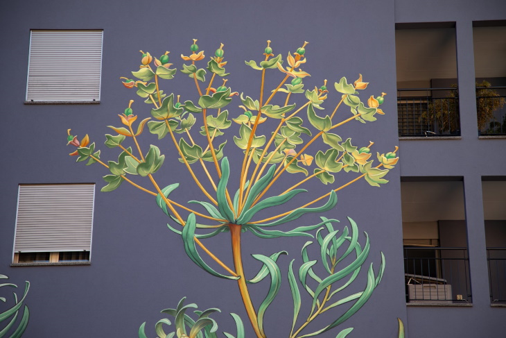 Mona Caron Murals Euphorbia